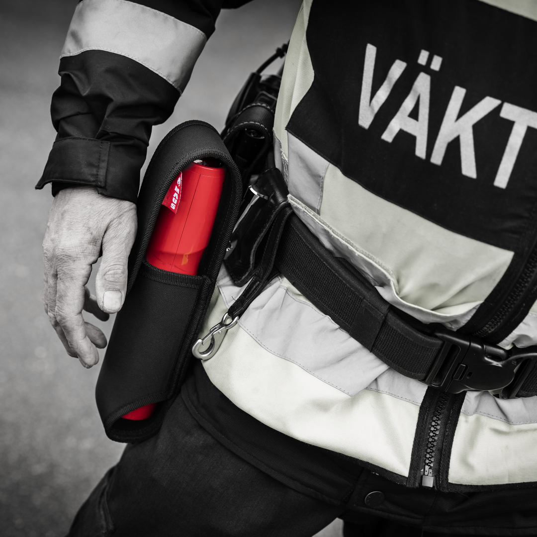 Securityguard-Klein-bw